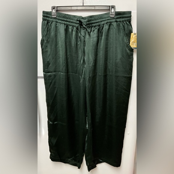Terra & Sky Deep Green Satin Trousers - Picture 1 of 5